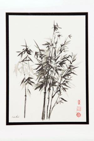 Bamboo II – Renewal